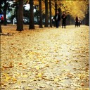 เด็กบ้าเท่าเดิม