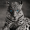 สมาชิกหมายเลข 2617513