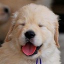 หาชื่อล๊อกอินทำไมมันยากจัง