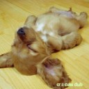 ยำสลัดทูน่า