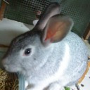 สมาชิกหมายเลข 700796