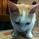 สมาชิกหมายเลข 1050731