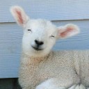 จูบติ๋มริมบึง