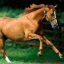 สมาชิกหมายเลข 1865953