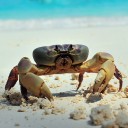 สมาชิกหมายเลข 1095402