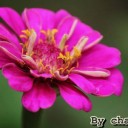 สมาชิกหมายเลข 3216379