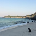 สมาชิกหมายเลข 1089994