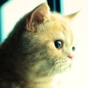 หญิงเมี้ยน