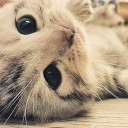 ฝนโปรยทุกทีที่เดินทาง