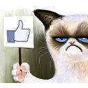 สมาชิกหมายเลข 1891085