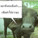 เข้น้อยGoOn