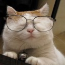 หมูสวนสยาม