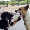 สมาชิกหมายเลข 855720