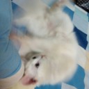 สมาชิกหมายเลข 1055678