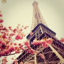 สมาชิกหมายเลข 1891807