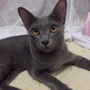 สมาชิกหมายเลข 813480