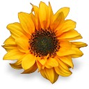 คนเดียวไม่เหงาเท่าสองคน