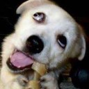 สมาชิกหมายเลข 1462382