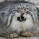 สมาชิกหมายเลข 1479273