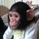 สมาชิกหมายเลข 1851505