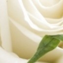 อรชุนแห่งปานทพ