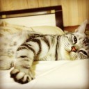 คึกคักเวลาลงเล่น