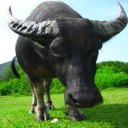 สมาชิกหมายเลข 1388879