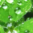 แทนความห่วงหวงจากดวงใจ