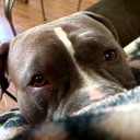 สมาชิกหมายเลข 3567807