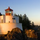 สมาชิกหมายเลข 861157