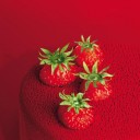 สมาชิกหมายเลข 1234740