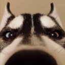 สมาชิกหมายเลข 2281731