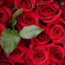 สมาชิกหมายเลข 701933