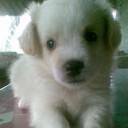 สมาชิกหมายเลข 1054660