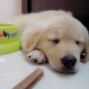 ตาปลาดุก