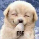 สมาชิกหมายเลข 1503663
