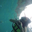 สมาชิกหมายเลข 3313460