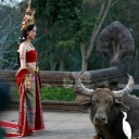 สมาชิกหมายเลข 3335590