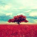 สมาชิกหมายเลข 1055482