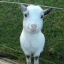 สมาชิกหมายเลข 1464922