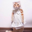 สมาชิกหมายเลข 987753