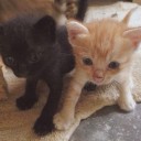 สมาชิกหมายเลข 1892669