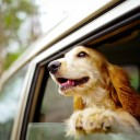 สมาชิกหมายเลข 3104145