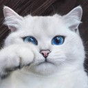 สมาชิกหมายเลข 1657940