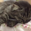 สมาชิกหมายเลข 2913454