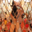 น้ำน่านน้ำปิง