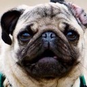 สมาชิกหมายเลข 1055637