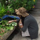 สมาชิกหมายเลข 2833266