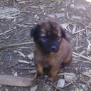 สมาชิกหมายเลข 1610266