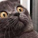 สมาชิกหมายเลข 1894944